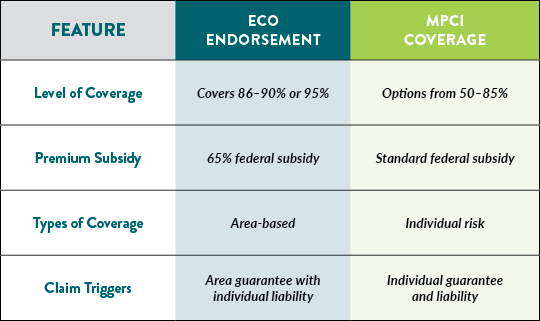 CI Enhanced Coverage Option Features