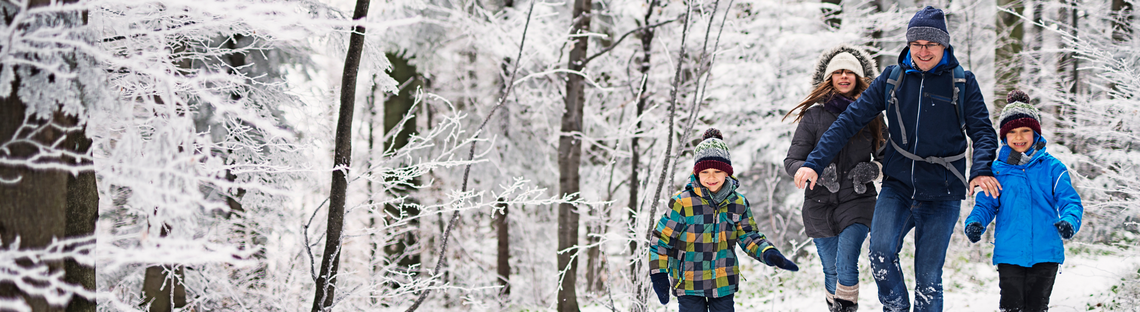 Family of four hiking in winter forest