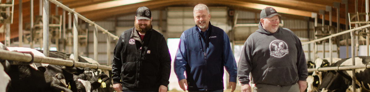 Two dairy producers walk alongside a Compeer Financial dairy lending specialist inside a barn, discussing the operation as Holstein cows line both sides.
