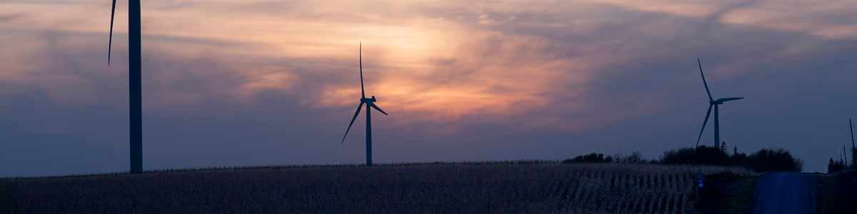 Wind turbines on a dried corn field at sunset