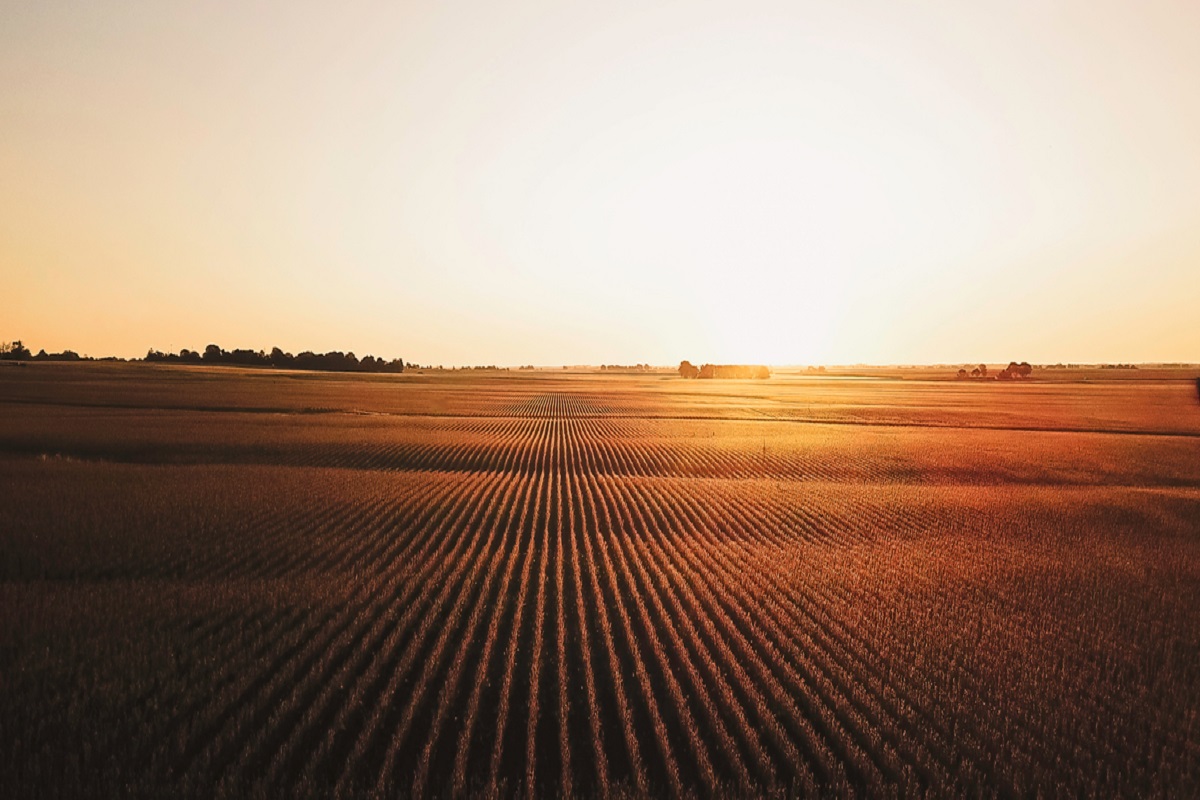 Economic Minute Compeer