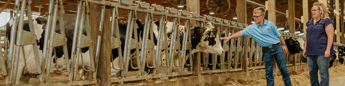 Mother and son petting cows in dairy barn